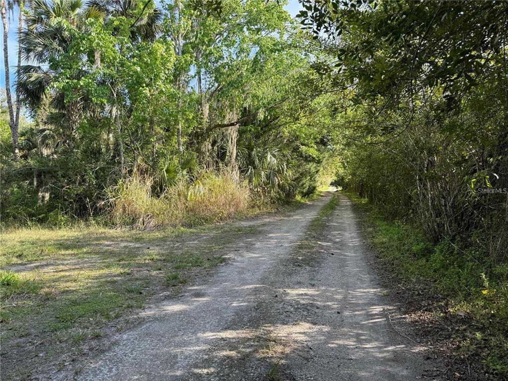 ORANGE ST/SEC 1, OVIEDO, FL — photo 3 of 4