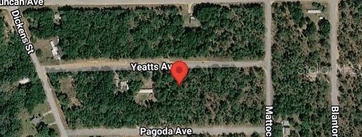 This is a satellite map view of a wooded residential lot — 111 YEATTS AVENUE, INTERLACHEN, FL