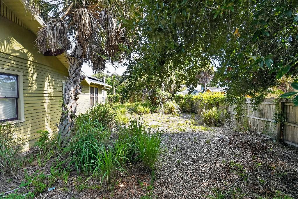 A side view of a yellow house with a palm tree and an overgrown yard — 772 38TH AVENUE S, ST PETERSBURG, FL
