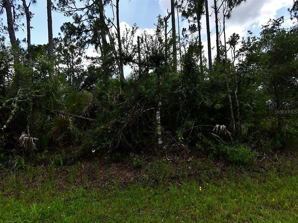 HACKLEY ROAD, NORTH PORT, FL — photo 5 of 5