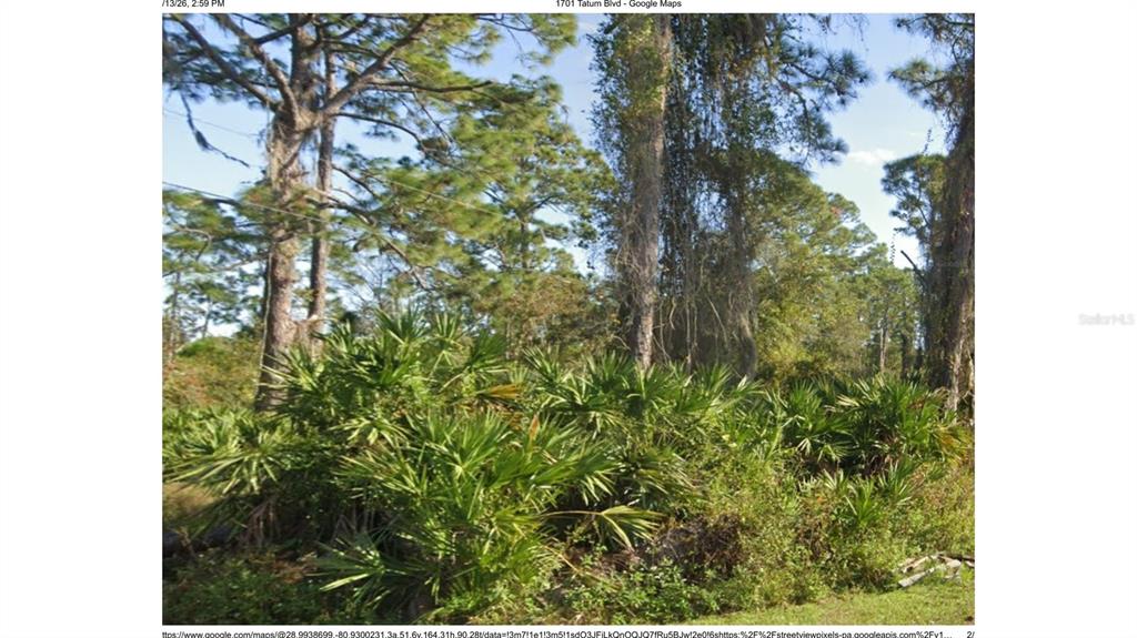 A wooded lot features tall pine trees and dense saw palmetto bushes under a blue sky — 1705 TATUM BOULEVARD, NEW SMYRNA BEACH, FL