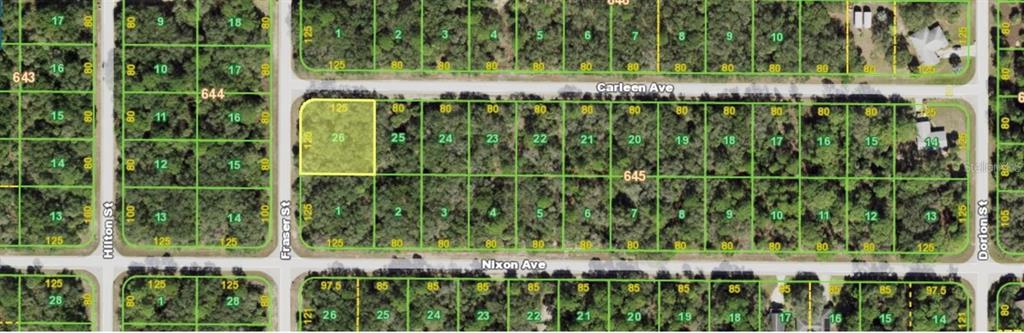 This is a map showing a grid of residential land parcels with street names — 17073 CARLEEN AVENUE, PORT CHARLOTTE, FL