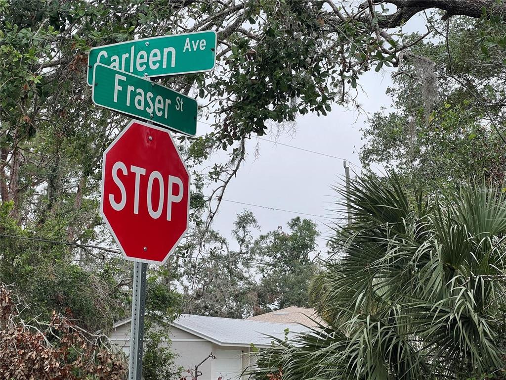 A stop sign stands beneath street signs for Carleen Avenue and Fraser Street — 17073 CARLEEN AVENUE, PORT CHARLOTTE, FL