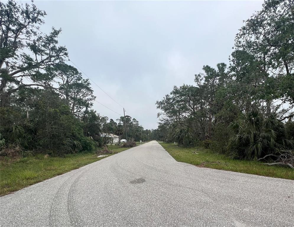 A paved road stretches into the distance, flanked by dense trees and vegetation — 17073 CARLEEN AVENUE, PORT CHARLOTTE, FL
