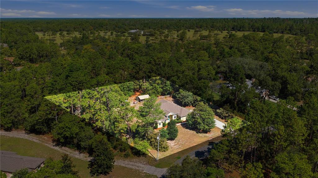 An aerial view shows a single-story house surrounded by trees on a large, wooded lot — 4890 W GEYSER COURT, BEVERLY HILLS, FL