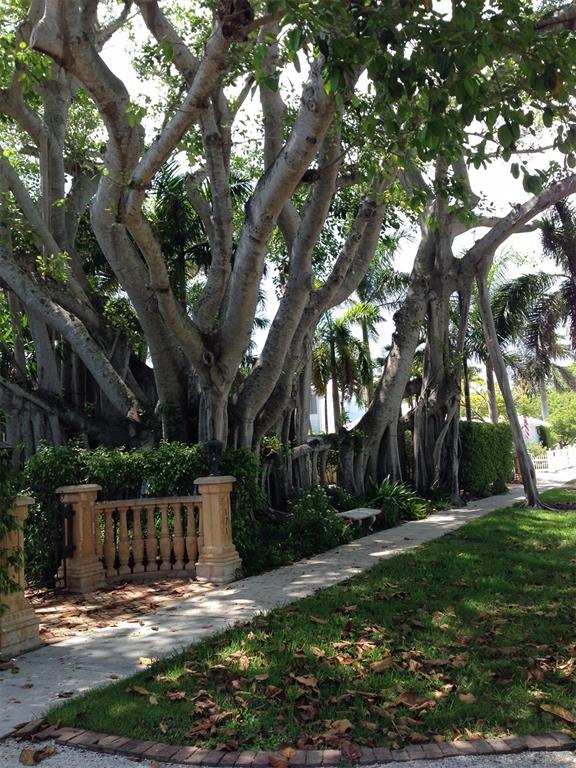 A large banyan tree with aerial roots overhangs a stone balustrade and a paved walkway — 4075 GILLOT BOULEVARD, PORT CHARLOTTE, FL