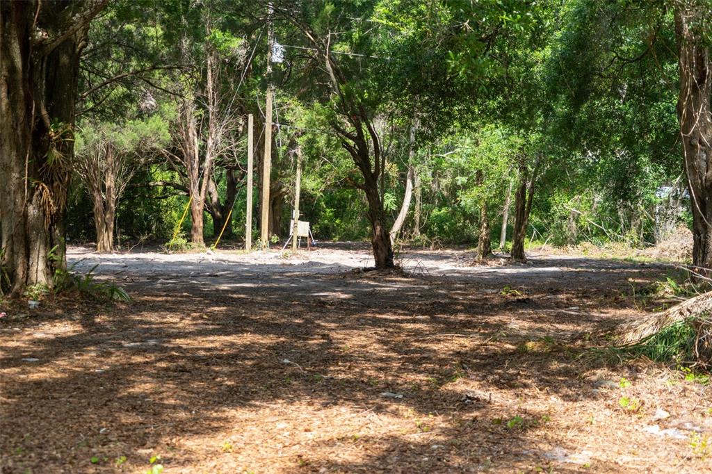 A cleared, sandy lot surrounded by mature trees and utility poles in a wooded area — 3482 COUNTY ROAD 507, WILDWOOD, FL