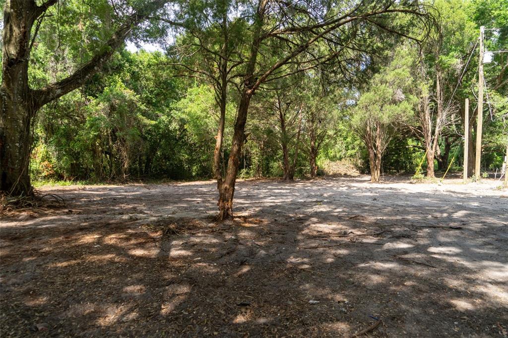A cleared, sandy lot surrounded by mature trees with a utility pole on the right — 3482 COUNTY ROAD 507, WILDWOOD, FL