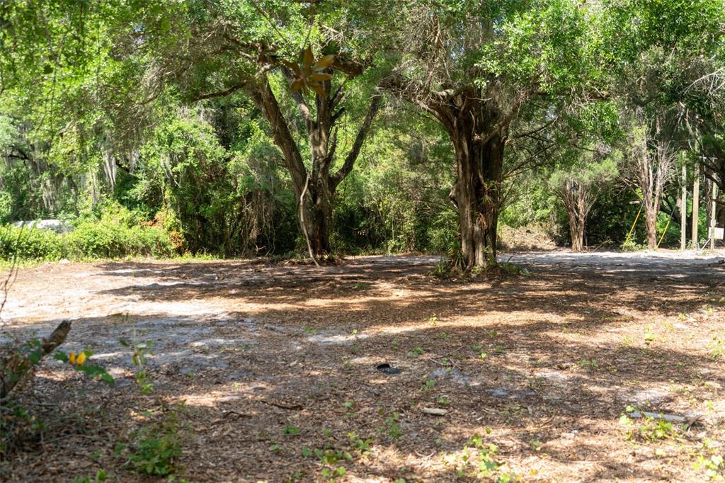 A flat, sandy lot with several large, mature trees and scattered leaves — 3482 COUNTY ROAD 507, WILDWOOD, FL