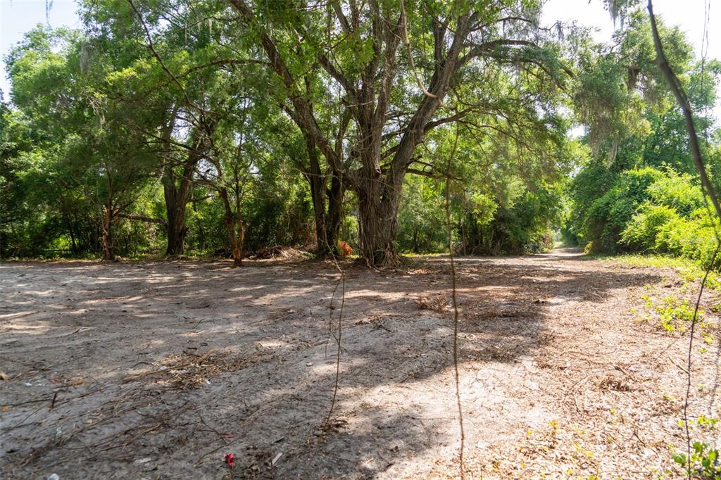 A dirt clearing surrounded by large, mature trees with hanging moss in a wooded area — 3482 COUNTY ROAD 507, WILDWOOD, FL