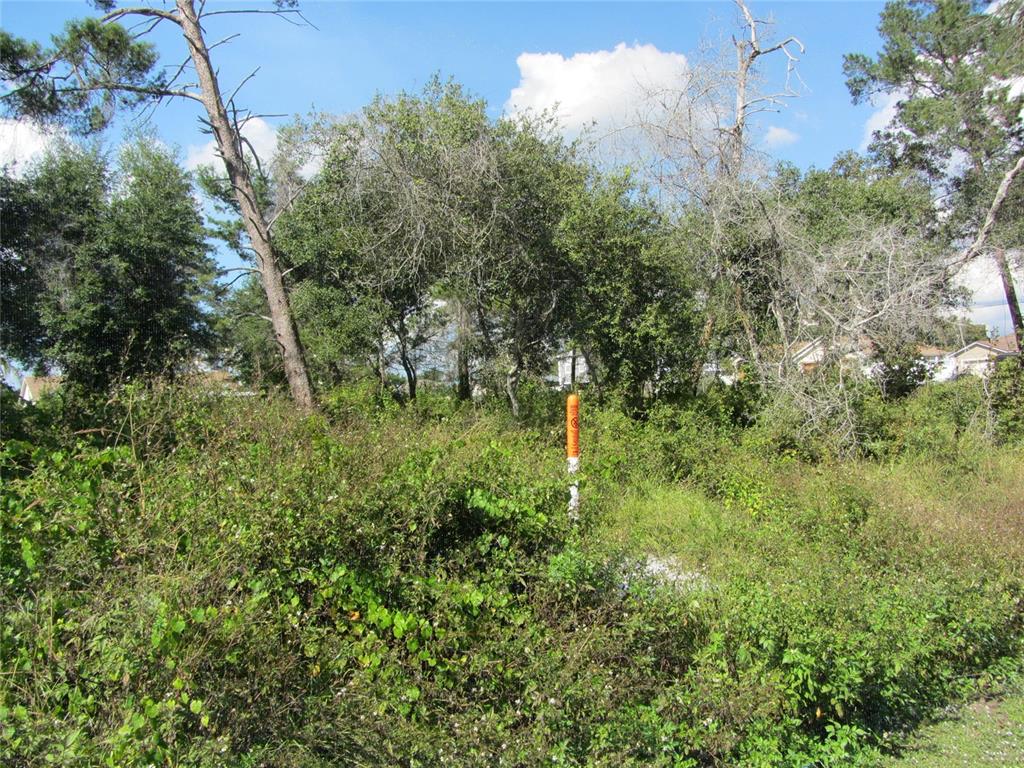 A vacant, overgrown lot with trees and a bright orange utility marker in the center — 1684 CATALINA BLVD, DELTONA, FL