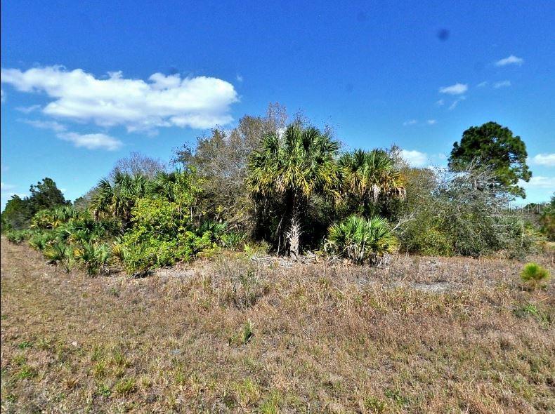 A cluster of palm trees and native vegetation sits in a dry, grassy field — NOME AVENUE, NORTH PORT, FL