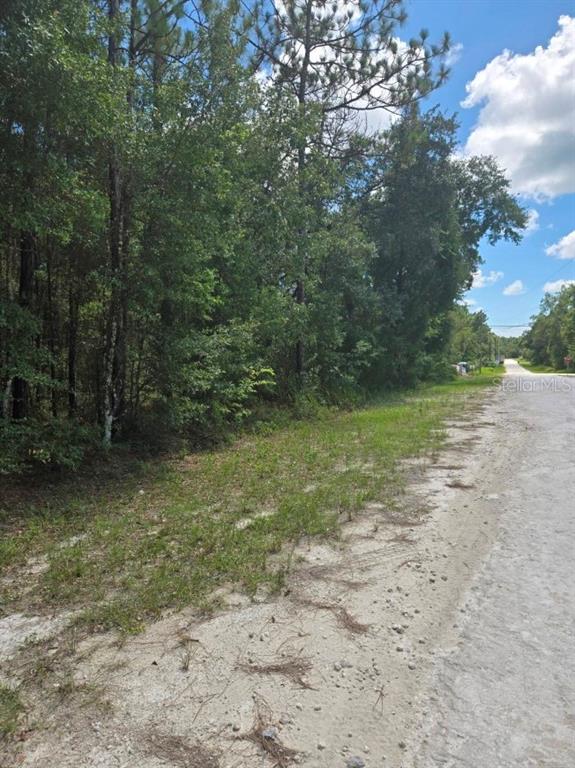 A dirt road runs alongside a wooded lot under a blue sky with clouds — 14142 RICEBIRD AVENUE, BROOKSVILLE, FL