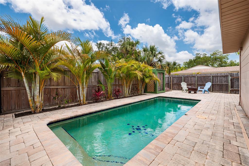 A rectangular swimming pool sits in a paved backyard with palm trees and a wooden fence — 511 74TH AVENUE N, ST PETERSBURG, FL
