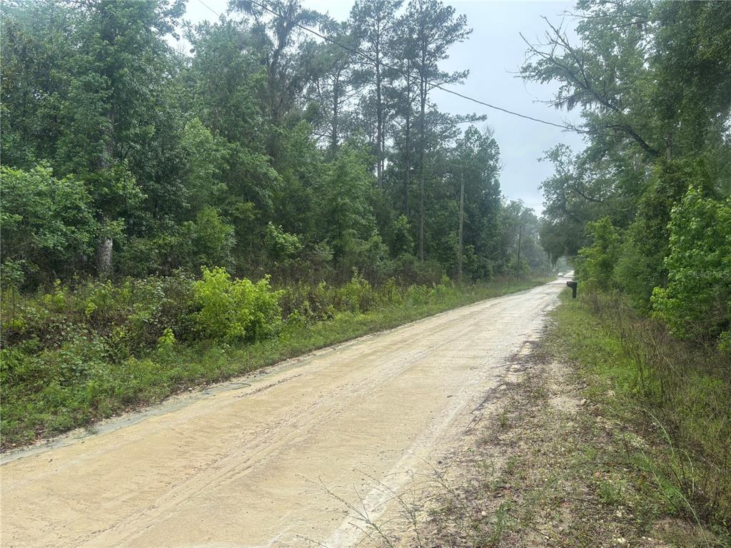 A dirt road runs through a wooded area with a mailbox on the right side — 0000 SW 7TH LANE, OCALA, FL
