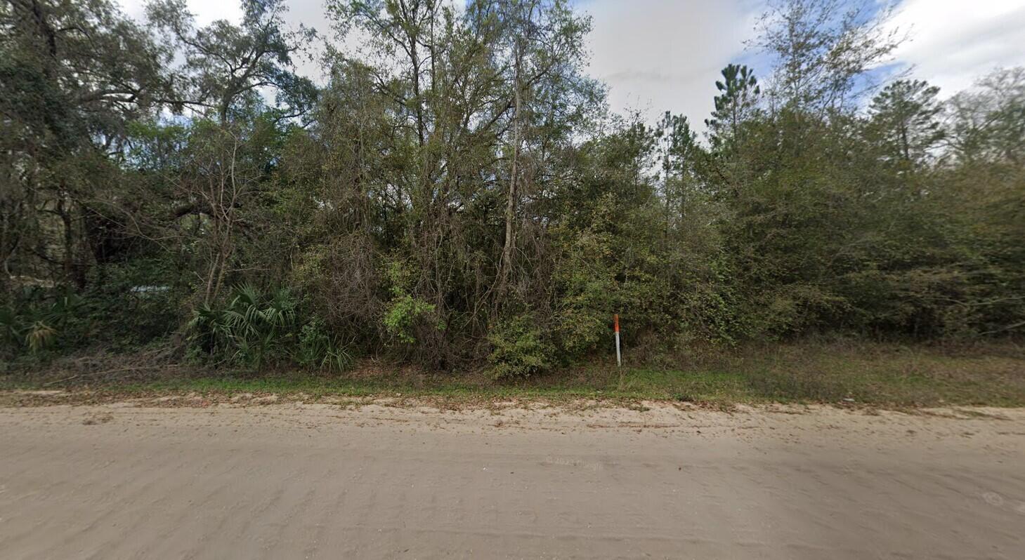 A dirt road runs in front of a dense, wooded lot with a survey marker — 915 Annette Avenue, FL 32148, FL