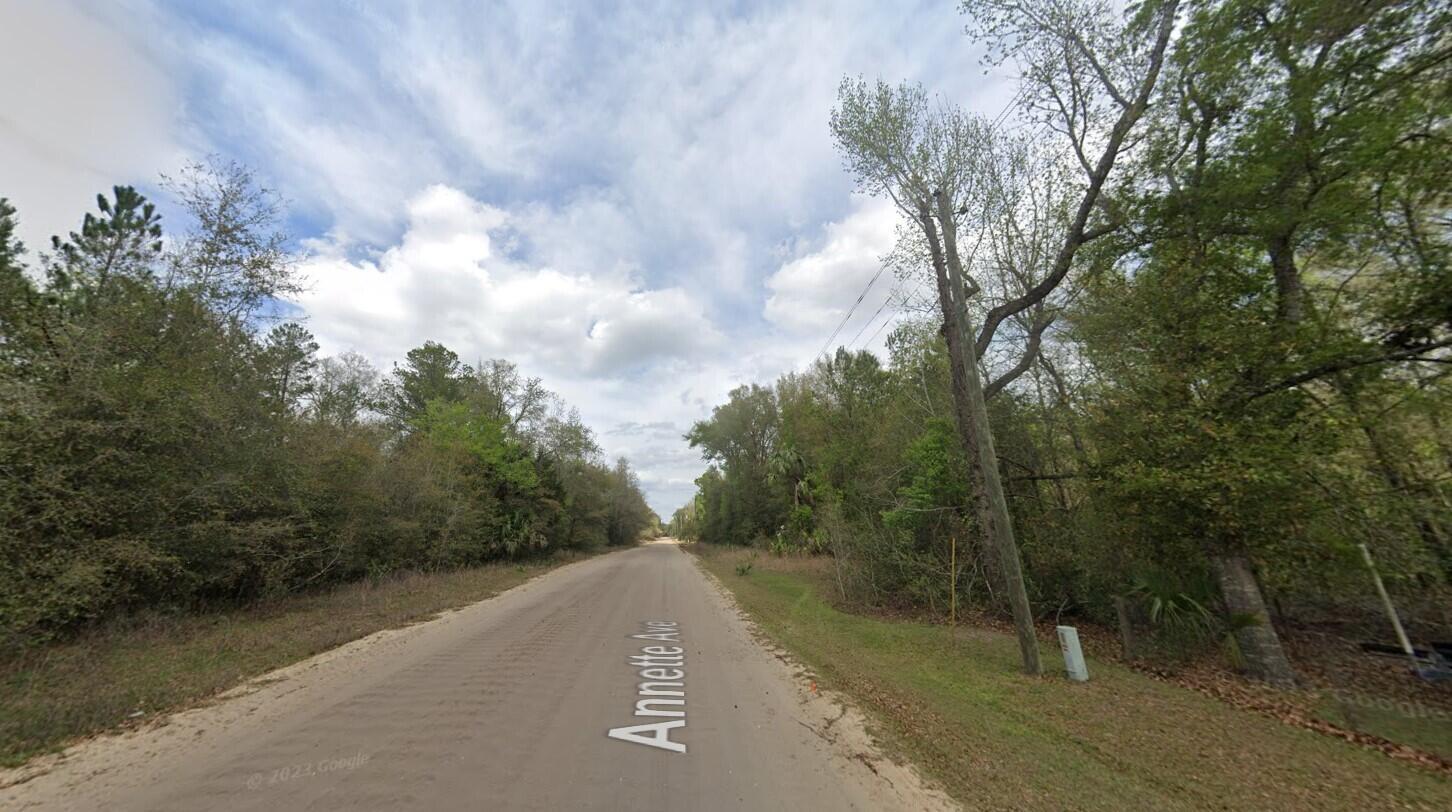 A dirt road stretches through a wooded area under a cloudy sky — 915 Annette Avenue, FL 32148, FL