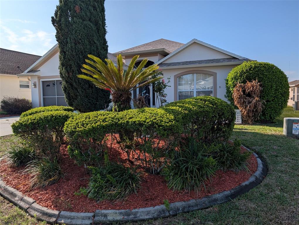A single-story house with a landscaped front yard, a palm tree, and a garage — 4486 N LAKE VISTA TRAIL, HERNANDO, FL