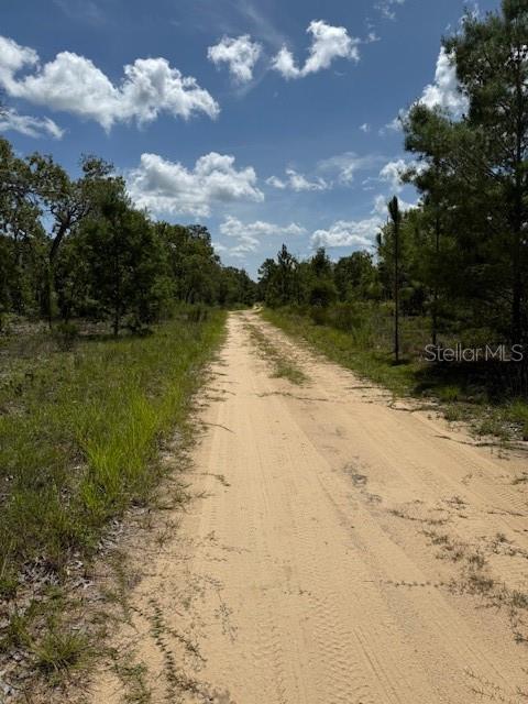 A dirt road stretches through a grassy, wooded landscape under a blue sky with clouds — 115 S DAKOTA STREET, HAWTHORNE, FL