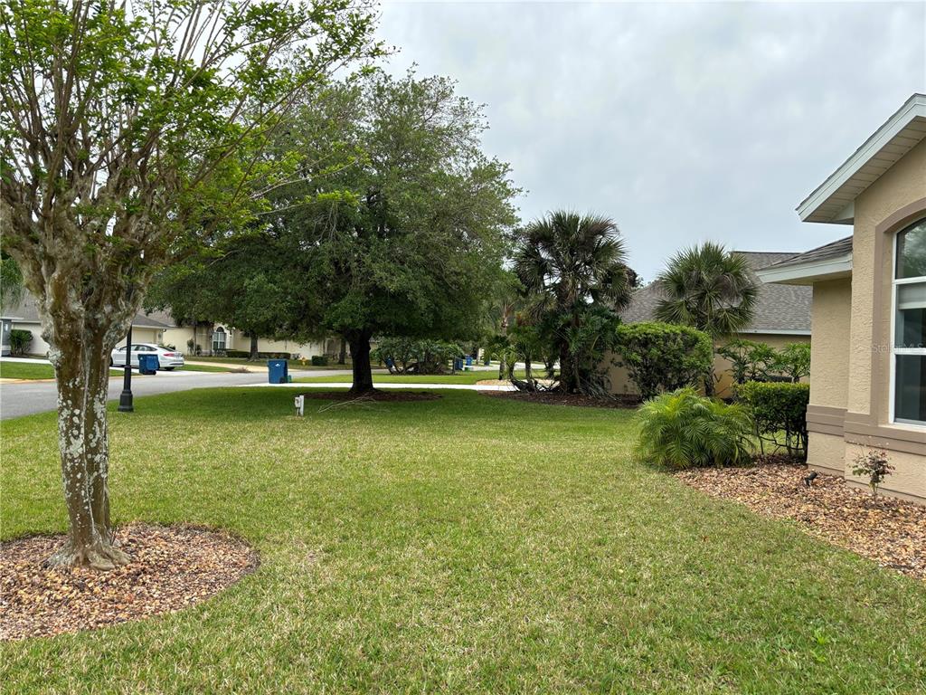 A grassy front yard with trees, landscaping, and a partial view of a house exterior — 908 WOODSTREAM LANE, ORMOND BEACH, FL