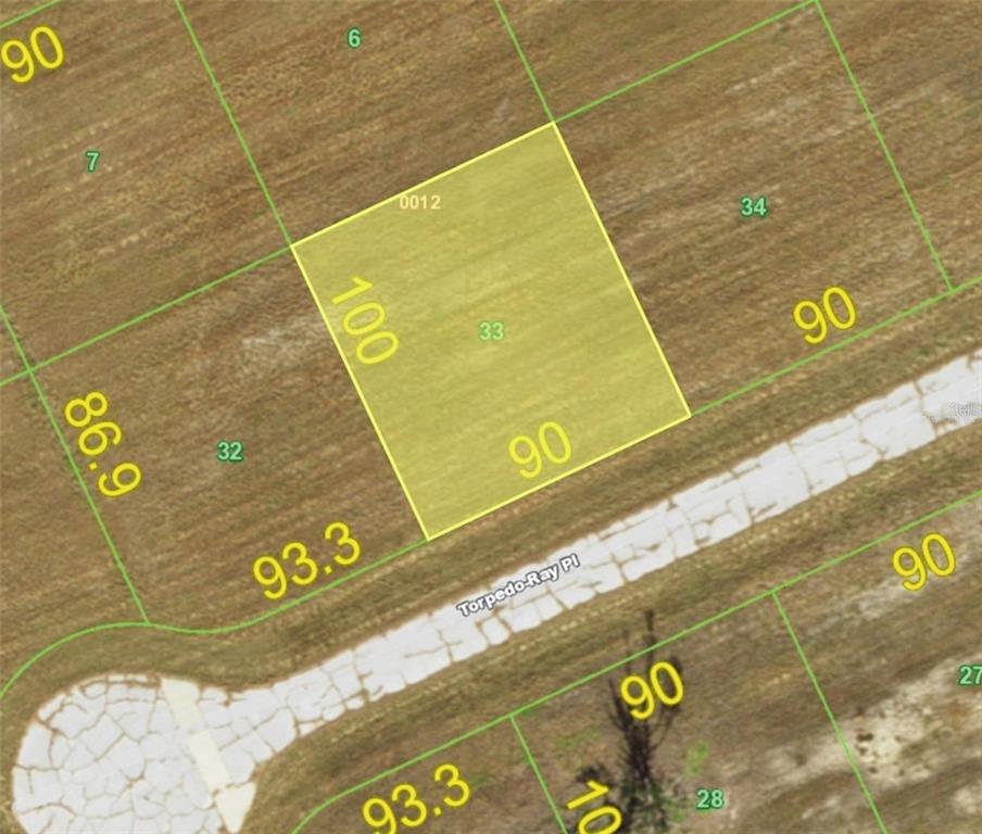 This is a satellite map view showing a highlighted rectangular plot of land — 13476 TORPEDO-RAY PLACE, PLACIDA, FL