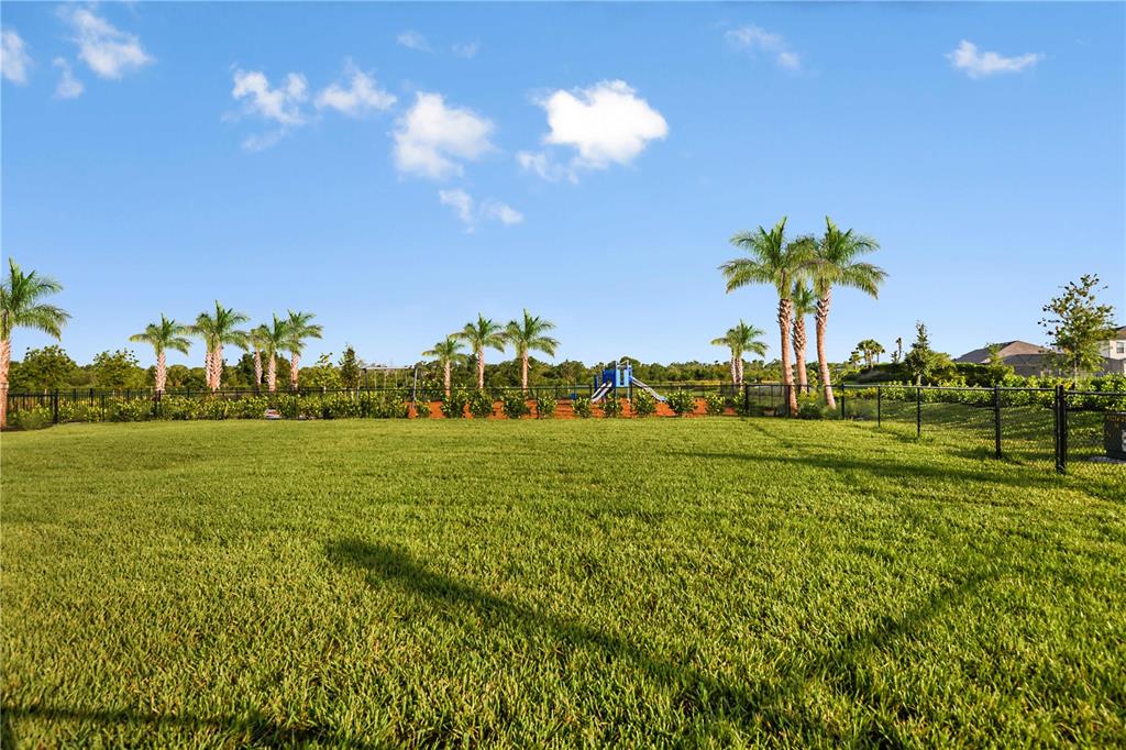 A large grassy backyard features a playground, palm trees, and a black metal fence — 10573 ECLIPSE STREET, SARASOTA, FL