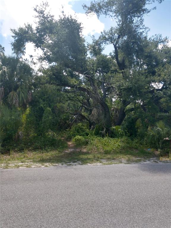 A paved road leads to a wooded lot filled with large trees and dense vegetation — 1420 KENESAW STREET, PORT CHARLOTTE, FL