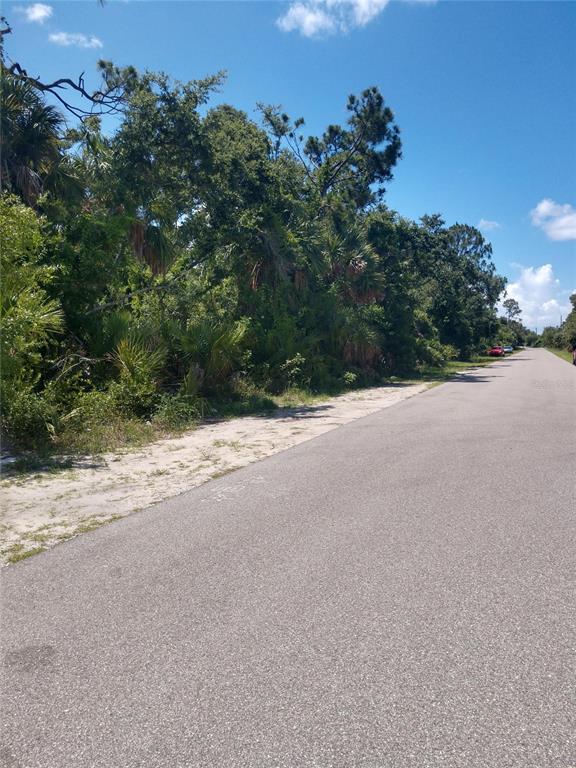 A paved road runs alongside a wooded lot with dense trees and palm bushes — 1420 KENESAW STREET, PORT CHARLOTTE, FL