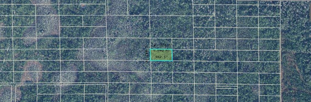 An aerial map view shows a highlighted rectangular plot of land surrounded by wooded lots — DILL ROAD, ORLANDO, FL