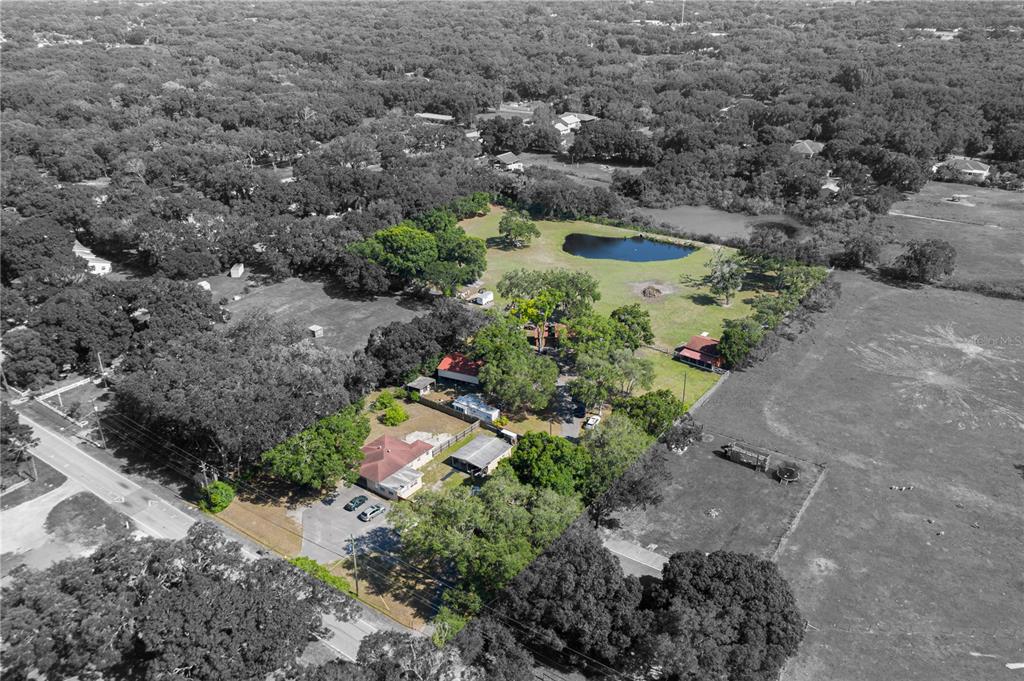 An aerial view shows a house, outbuildings, and a pond on a large, wooded lot — 6003 16TH AVENUE S, TAMPA, FL