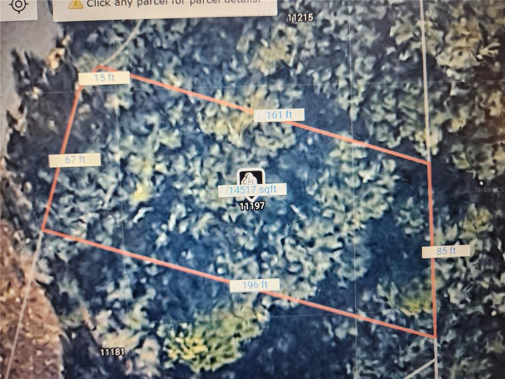 This is a satellite map showing the property boundaries and dimensions of a land parcel — 11197 N DENICE POINT, DUNNELLON, FL