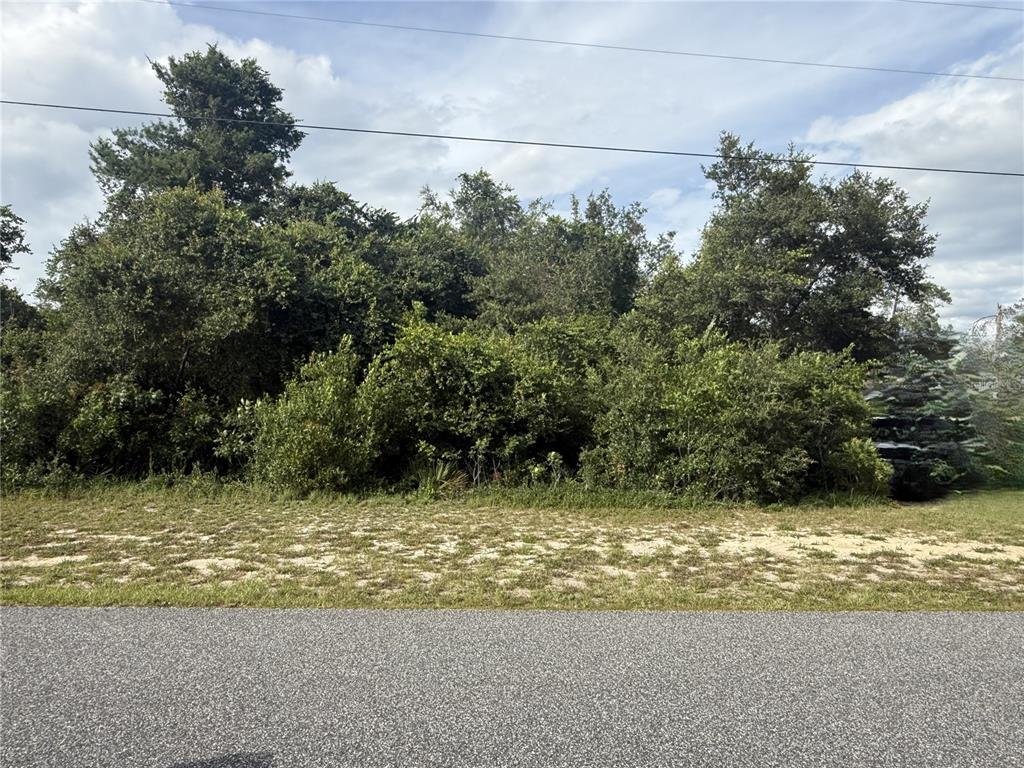 A dense thicket of trees and shrubs sits behind a sandy patch near a road — TBD SW 165TH STREET ROAD, OCALA, FL