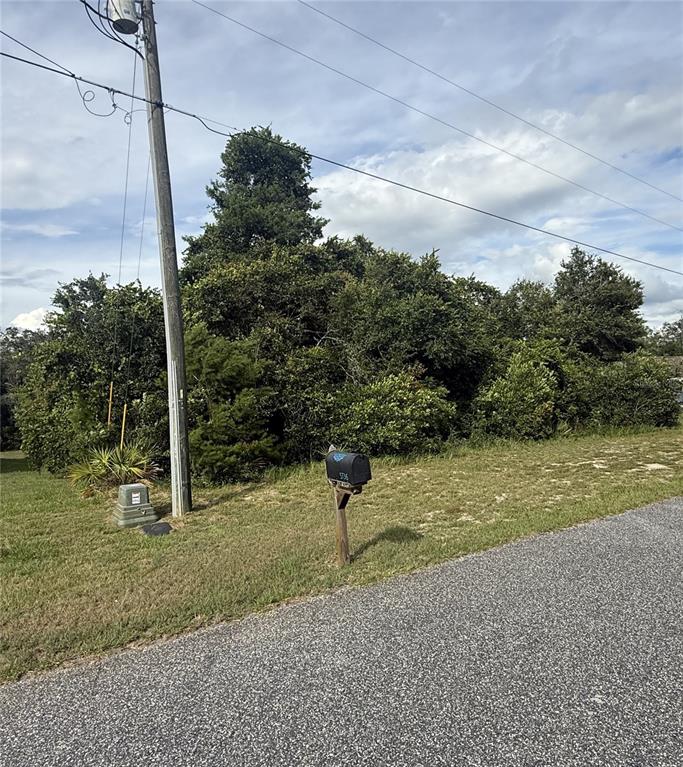 A grassy, wooded lot sits along a paved road with a utility pole and mailbox — TBD SW 165TH STREET ROAD, OCALA, FL