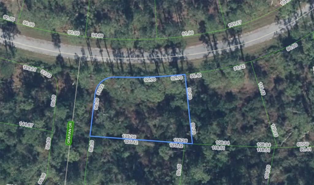 This is an aerial map showing the property boundaries of a wooded residential lot — 8823 OVIEDO STREET, SEBRING, FL