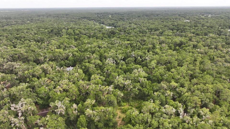 An aerial view shows a dense forest with a house partially visible among the trees — 18731 SW 79TH PLACE, DUNNELLON, FL