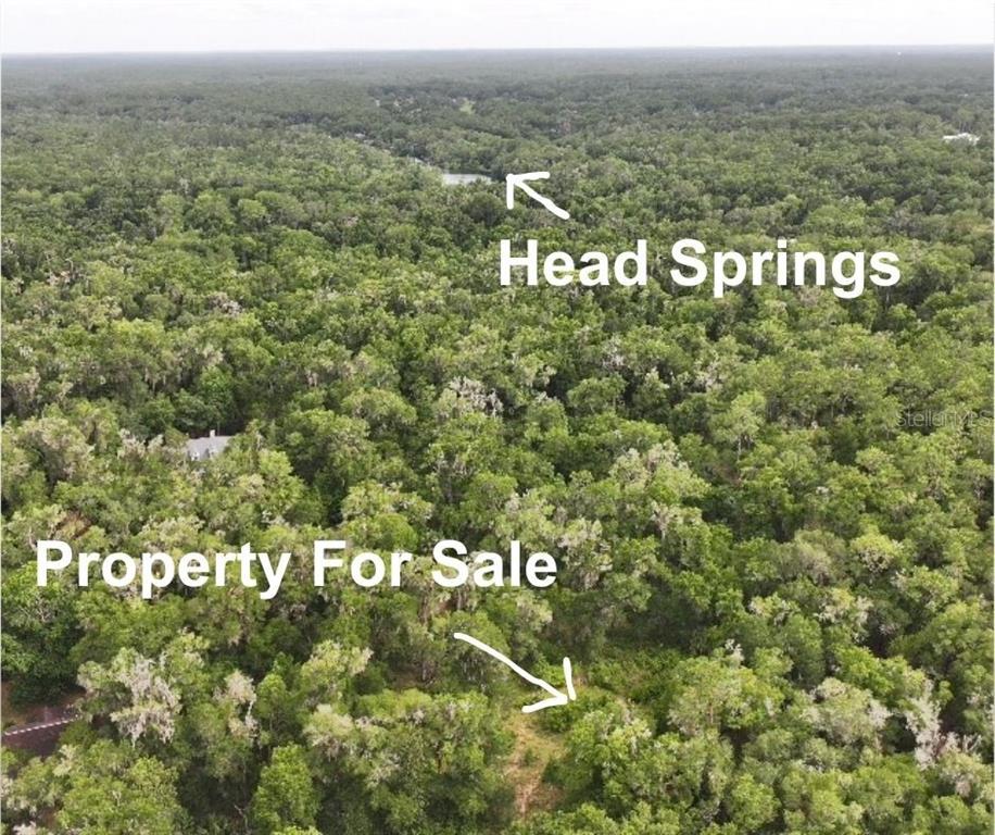An aerial view shows a wooded lot with a house and nearby head springs — 18731 SW 79TH PLACE, DUNNELLON, FL