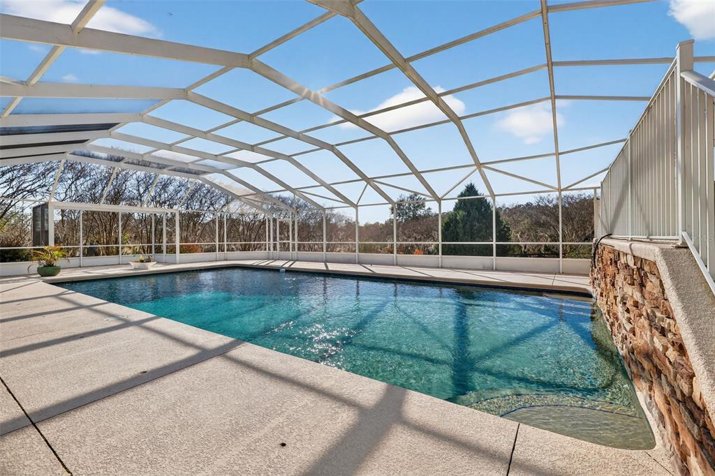 A rectangular swimming pool is enclosed by a white metal screen structure on a patio — 2230 SW 87TH PLACE, OCALA, FL