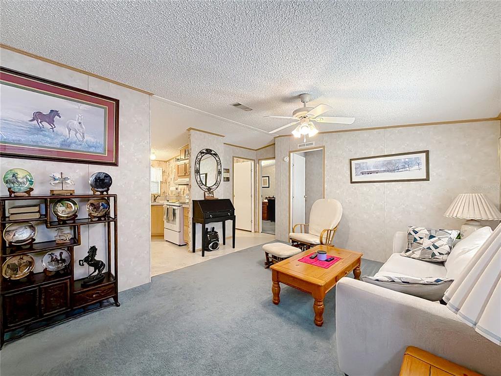 A living room with blue carpet, a wooden coffee table, and a display shelf — 18845 SE 18TH PLACE, SILVER SPRINGS, FL