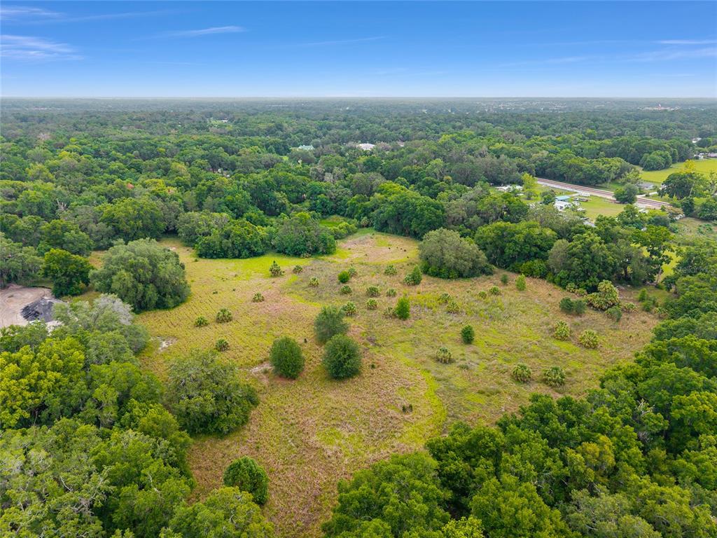 TBD S HIGHWAY 301, SUMMERFIELD, FL — photo 2 of 21