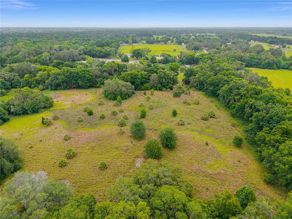 TBD S HIGHWAY 301, SUMMERFIELD, FL — photo 3 of 21