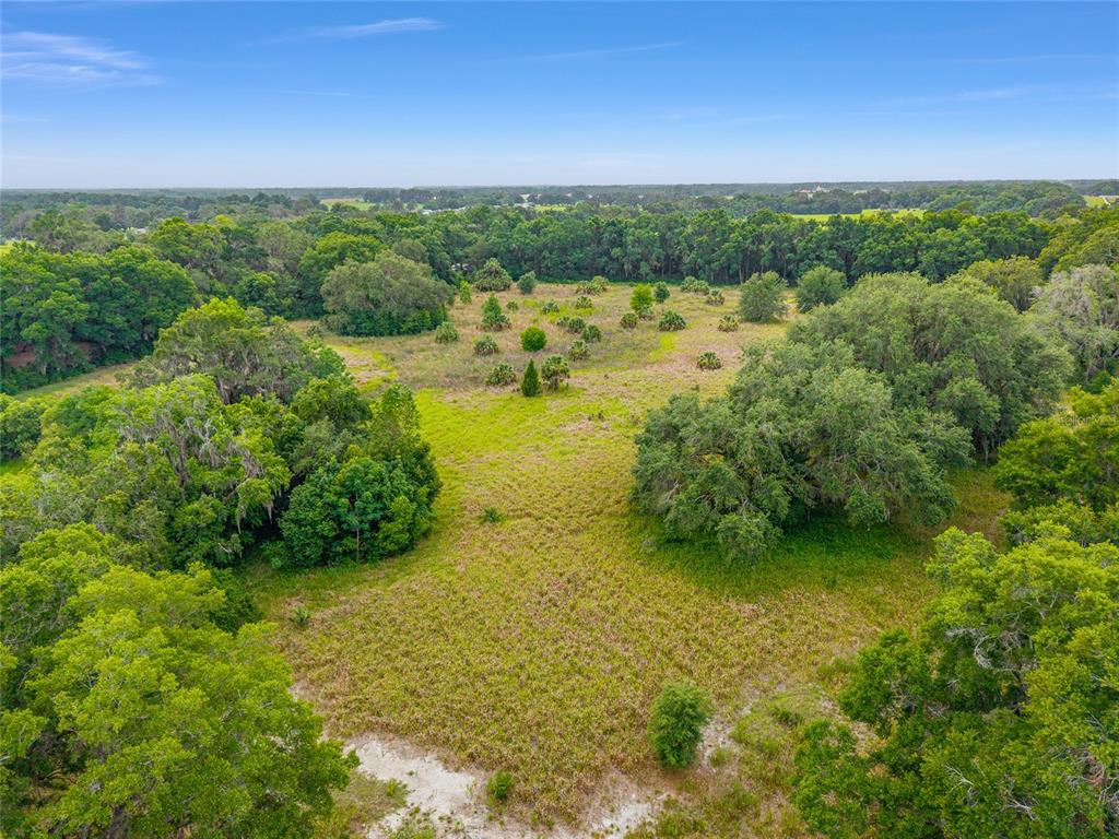 TBD S HIGHWAY 301, SUMMERFIELD, FL — photo 4 of 21