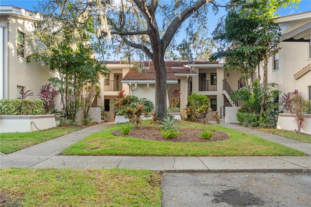 A large tree stands in the center of a courtyard between two-story apartment buildings — 300 S FLORIDA AVENUE UNIT 600F, TARPON SPRINGS, FL