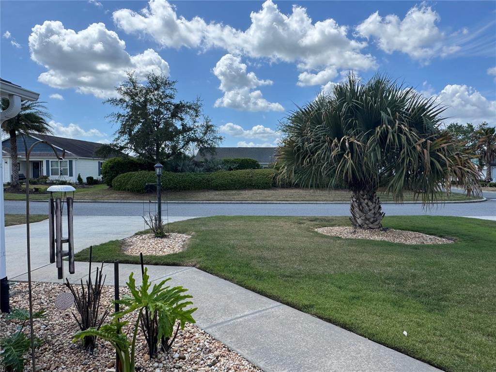A view from a driveway looking across a street toward a house and palm tree — 3737 COSMOS WAY, THE VILLAGES, FL