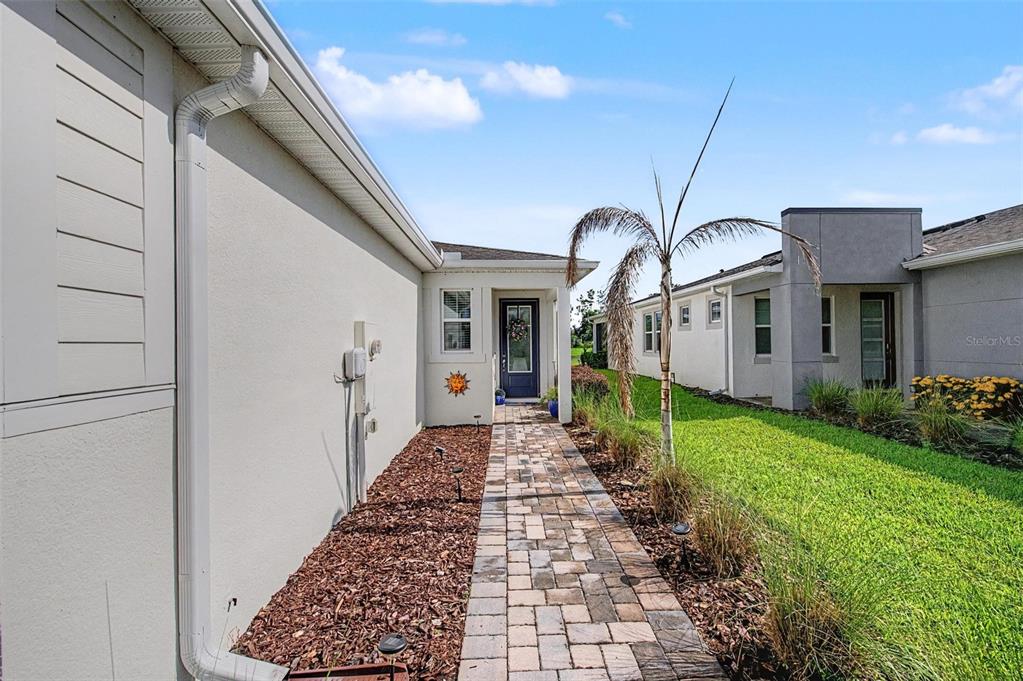 A paved walkway leads to the front entrance of a house with a palm tree — 6025 TIMBERDALE AVENUE, WESLEY CHAPEL, FL