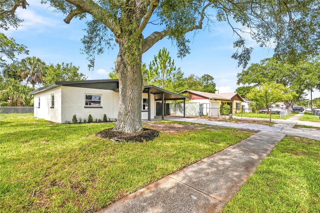 A single-story white brick house with a large tree in the front yard — 8118 TANGLEWOOD LANE, TAMPA, FL