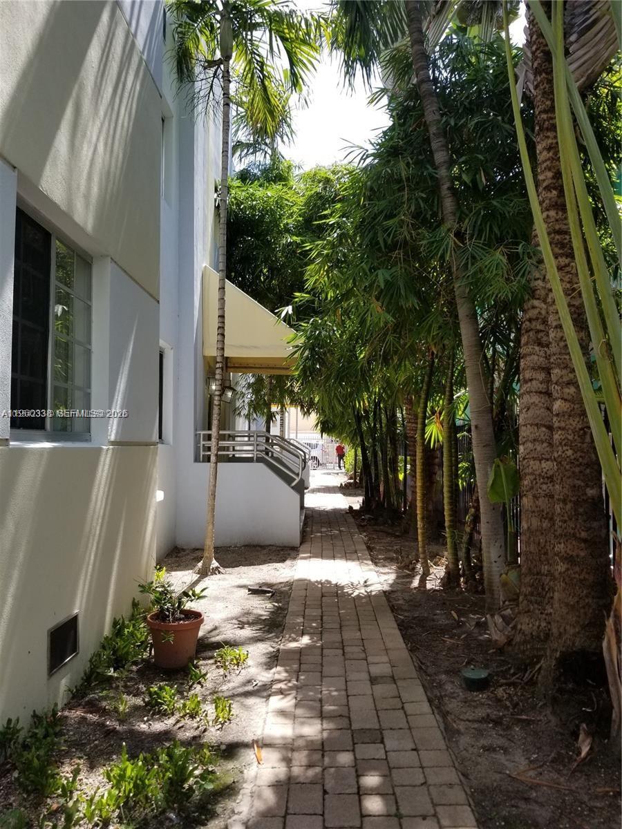 A paved walkway runs alongside a building exterior past a row of tall palm trees — 1045 Meridian Ave # 5, Miami Beach FL 33139, MIAMI BEACH, FL