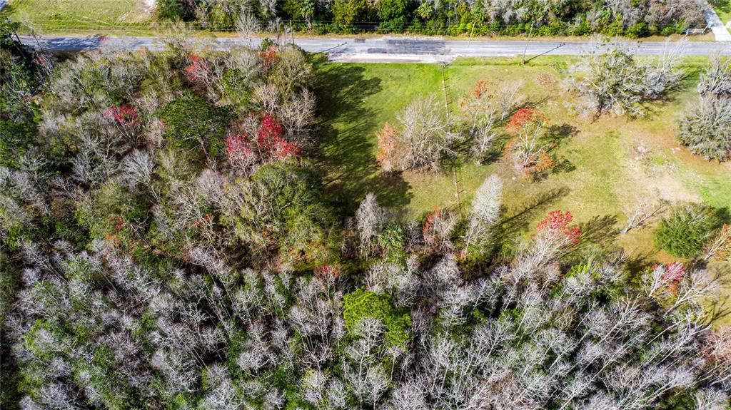 An aerial view shows a grassy lot bordered by dense woods and a paved road — 4925 S MORNINGSIDE TERRACE, HOMOSASSA, FL