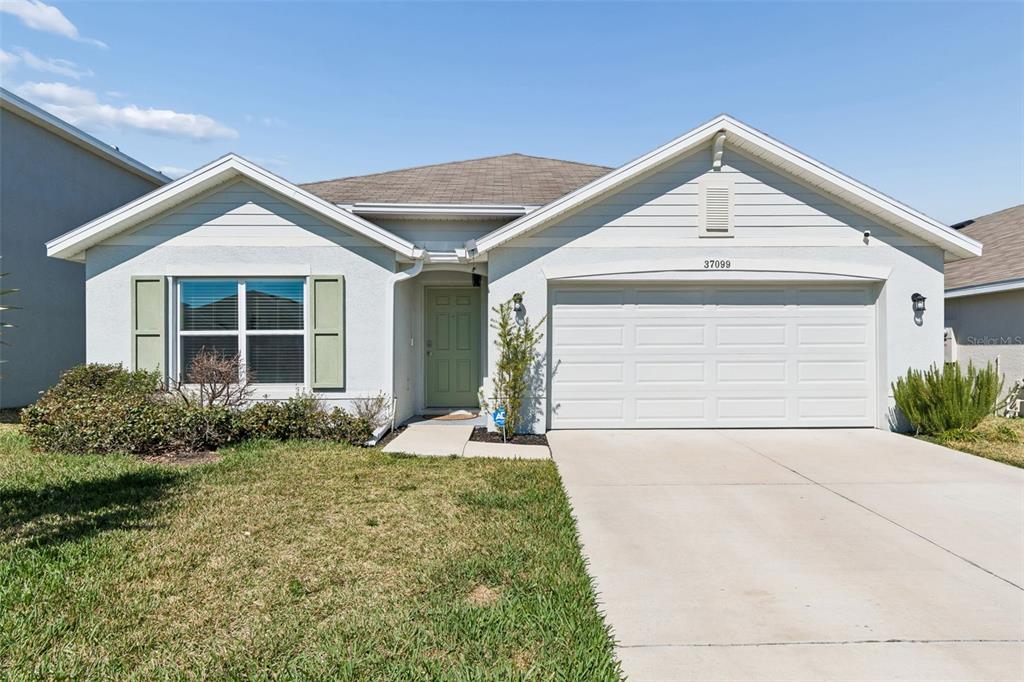 37099 GOFFAUX LOOP
