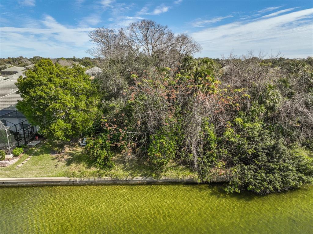 An aerial view shows a grassy backyard bordering a canal with dense trees and vegetation — 49 LONGVIEW WAY N, PALM COAST, FL