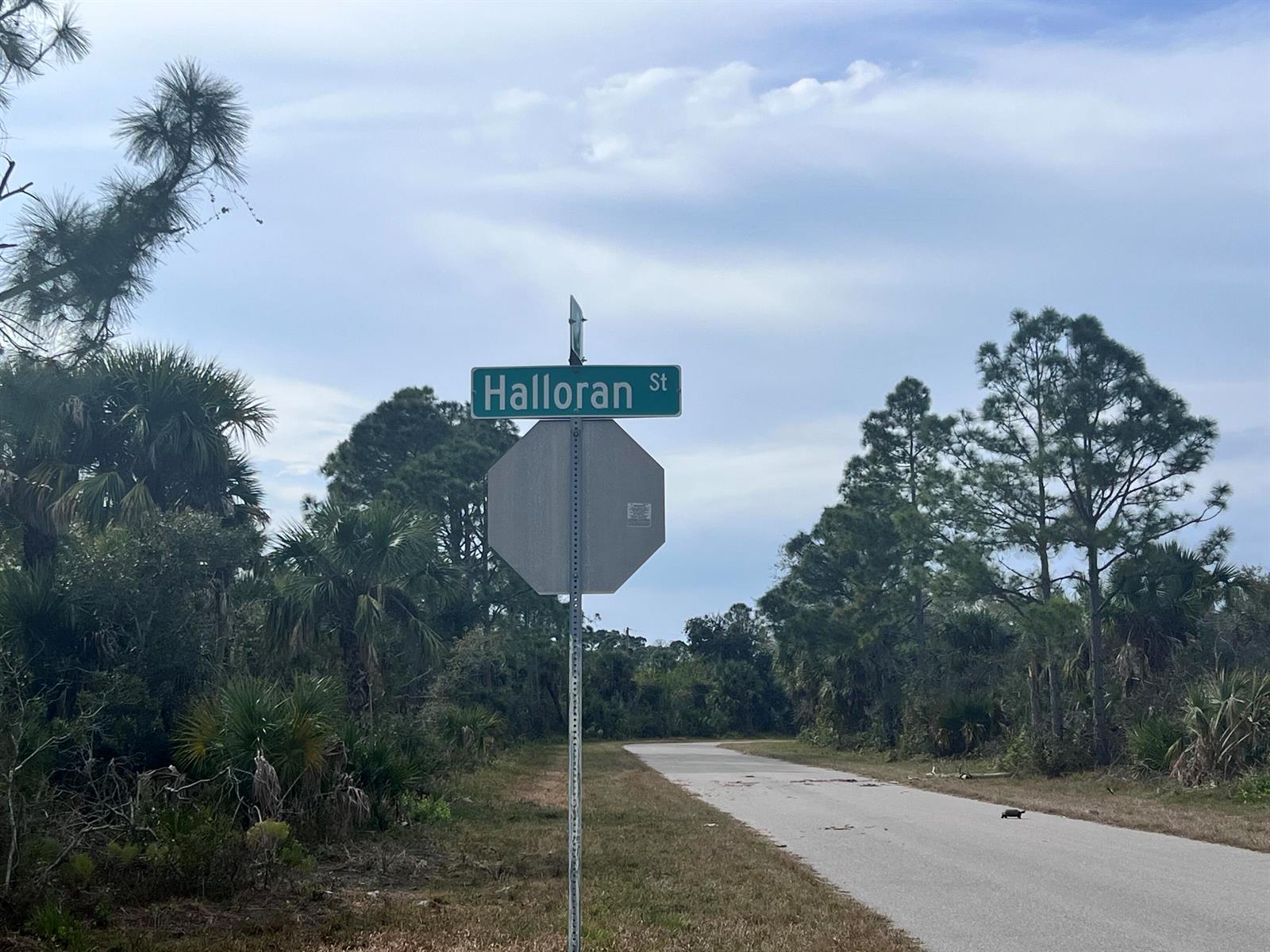 A street sign for Halloran St stands beside a paved road with a small turtle nearby — 310 Halloran Street, FL 33953, FL